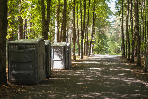 Best Affordable portable toilet rental  in Mountain View, CA